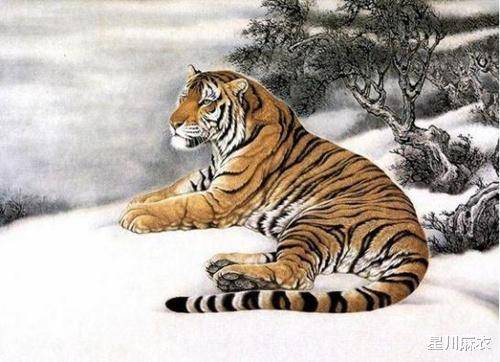 十个指头春秋生肖飞提更高望更远是什么生肖精选解析、解释与落实、定量解答解释落实