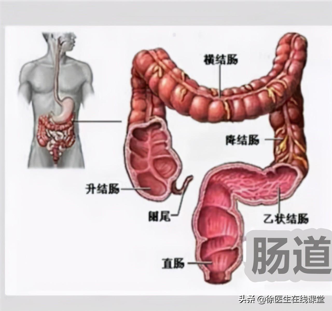 一分神似二分同,迷迷糊糊绕其中代表是指什么生肖，详细解答、时代解答解释落实